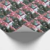 Papier Cadeau Dogwood rose (Coin)