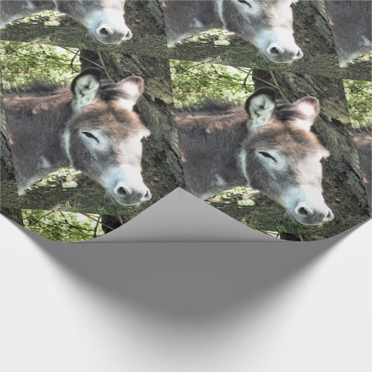PAPIER CADEAU DONKEY (Coin)