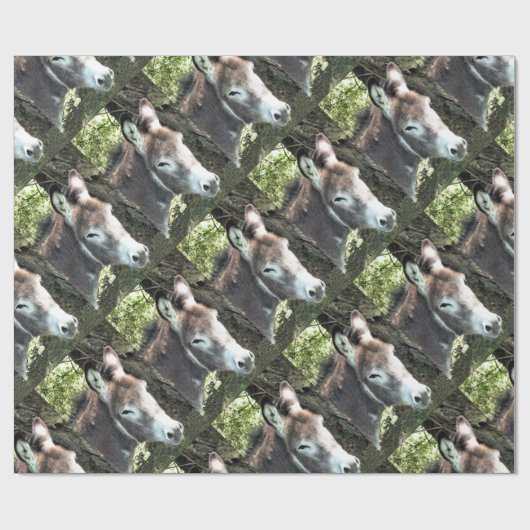 PAPIER CADEAU DONKEY (Plat)