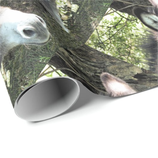 PAPIER CADEAU DONKEY (Coin rond)