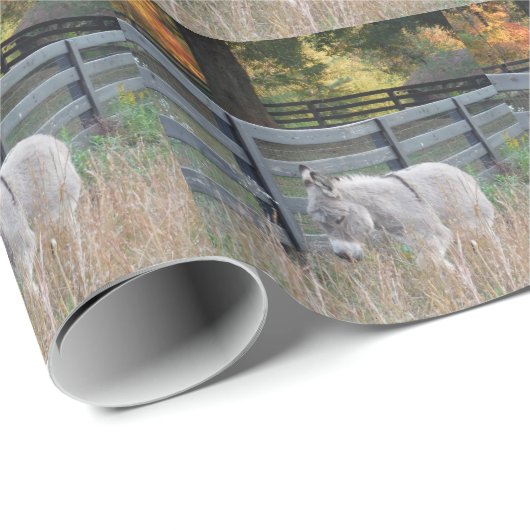 Papier Cadeau Donkey dans un champ d'automne (Coin rond)