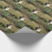 Papier Cadeau Donkey picking yellow Autumn (Coin)