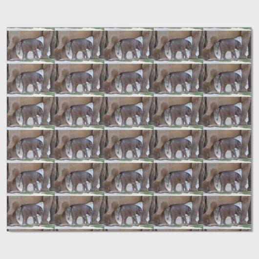 Papier Cadeau Douce Bébé Éléphant (Plat)