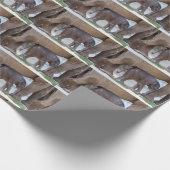 Papier Cadeau Douce Bébé Éléphant (Coin)
