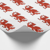 Papier Cadeau Dragon de Gallois (Coin)