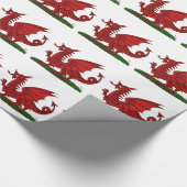 Papier Cadeau Dragon rouge du Pays de Galles (Coin)