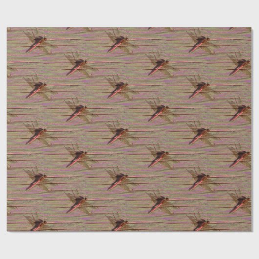 Papier Cadeau Dragonfly (Plat)