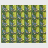 Papier Cadeau Dragonfly aux yeux turquoises (Plat)