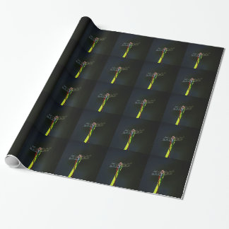 Papier Cadeau Dragonfly bleu et noir sur gazon vert et rouge