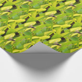 Papier Cadeau Dragonfly Blue et noir sur l'herbe. (Coin)