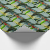 Papier Cadeau Dragonfly rouge et noire tachetée (Coin)