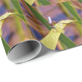 Papier Cadeau Dragonfly sur la feuille de pluie (Coin rond)