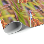 Papier Cadeau Dragonfly turquoise sur le carex (Coin rond)