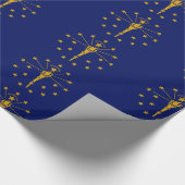 Papier Cadeau Drapeau Indiana (Coin)