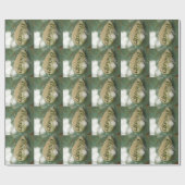 Papier Cadeau Dream Rock (Plat)