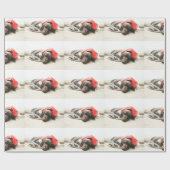 Papier Cadeau Dreaming of Santa (Plat)