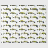Papier Cadeau Drôle (choisir la couleur) (Plat)