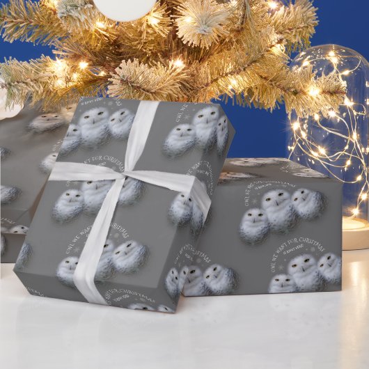 Papier Cadeau Drôle Chouette que nous voulons pour Noël ... Chou (Vacances)