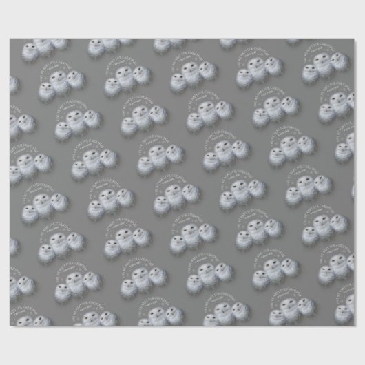 Papier Cadeau Drôle Chouette que nous voulons pour Noël ... Chou (Plat)