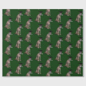 Papier Cadeau Drôle Smart Graduate Coyote (Plat)