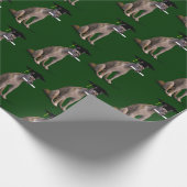 Papier Cadeau Drôle Smart Graduate Coyote (Coin)