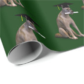 Papier Cadeau Drôle Smart Graduate Coyote (Coin rond)
