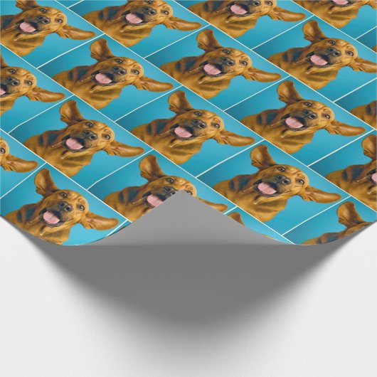 Papier Cadeau Drooling Bloodhound With Surprised Expression (Coin)