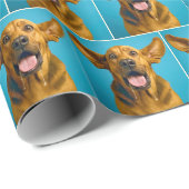 Papier Cadeau Drooling Bloodhound With Surprised Expression (Coin rond)