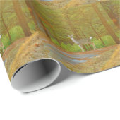 PAPIER CADEAU DSCF4041.JPG (Coin rond)