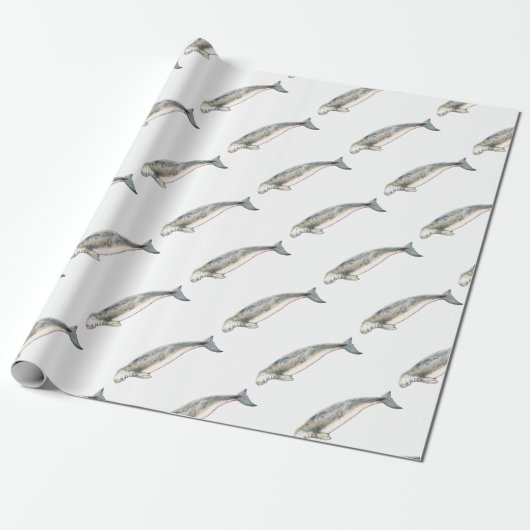 Papier Cadeau Dugong (Déroulé)