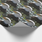 Papier Cadeau Eagle (Coin)