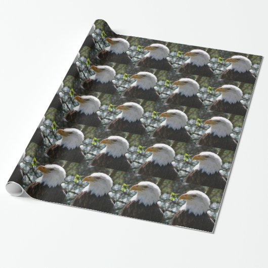 Papier Cadeau Eagle (Déroulé)