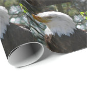 Papier Cadeau Eagle (Coin rond)
