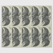 Papier Cadeau Eagle (Plat)