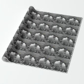 Papier Cadeau Éclaboussure de couleur de pingouin (Déroulé)