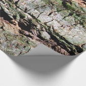 Papier Cadeau Écorce d'arbre (Coin)