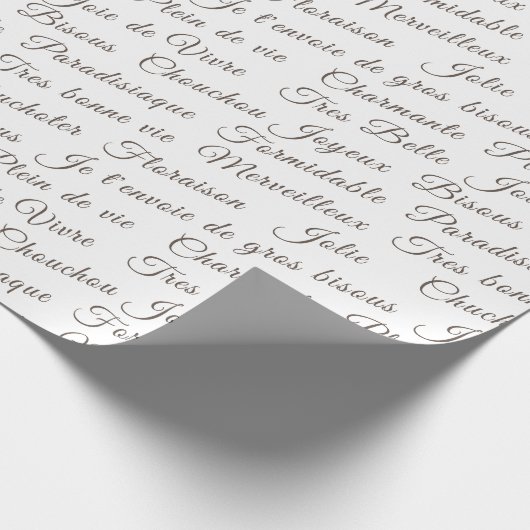 Papier Cadeau Écran Français Words Wrapper Paper (Coin)