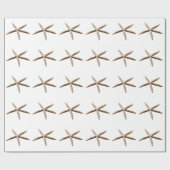 Papier Cadeau Écre (Plat)