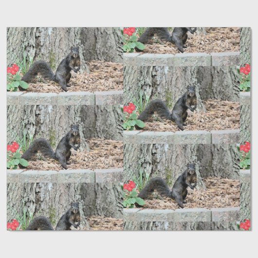 Papier Cadeau Écureuil (Plat)