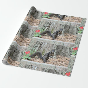 Papier Cadeau Écureuil