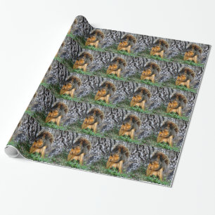 Papier Cadeau Écureuil