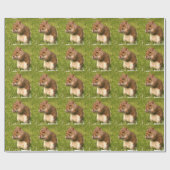 Papier Cadeau Écureuil (Plat)