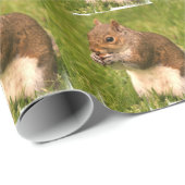 Papier Cadeau Écureuil (Coin rond)