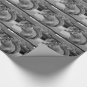 Papier Cadeau Écureuil (Coin)