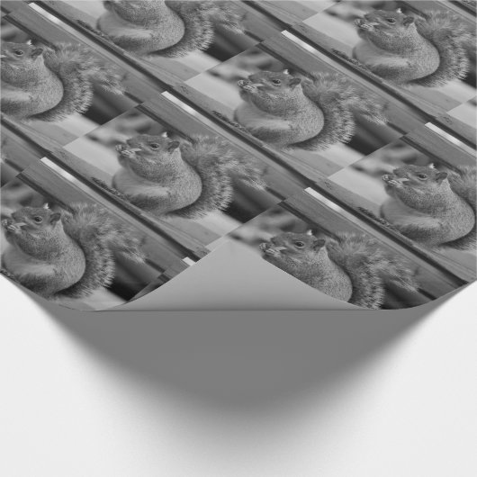 Papier Cadeau Écureuil (Coin)