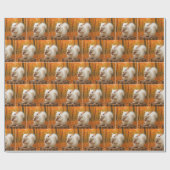 Papier Cadeau Écureuil blanc tenant un maïs (Plat)