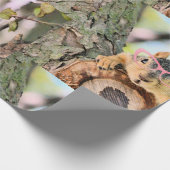 Papier Cadeau Écureuil chic (Coin)