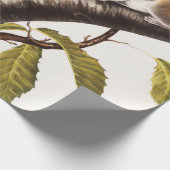 Papier Cadeau Écureuil gris de Caroline (Sciurus Carolinensis) (Coin)