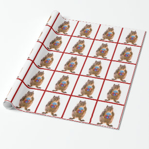 Papier Cadeau Écureuil mignon avec le cadeau d'anniversaire