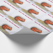 Papier Cadeau Écureuil rouge (Coin)